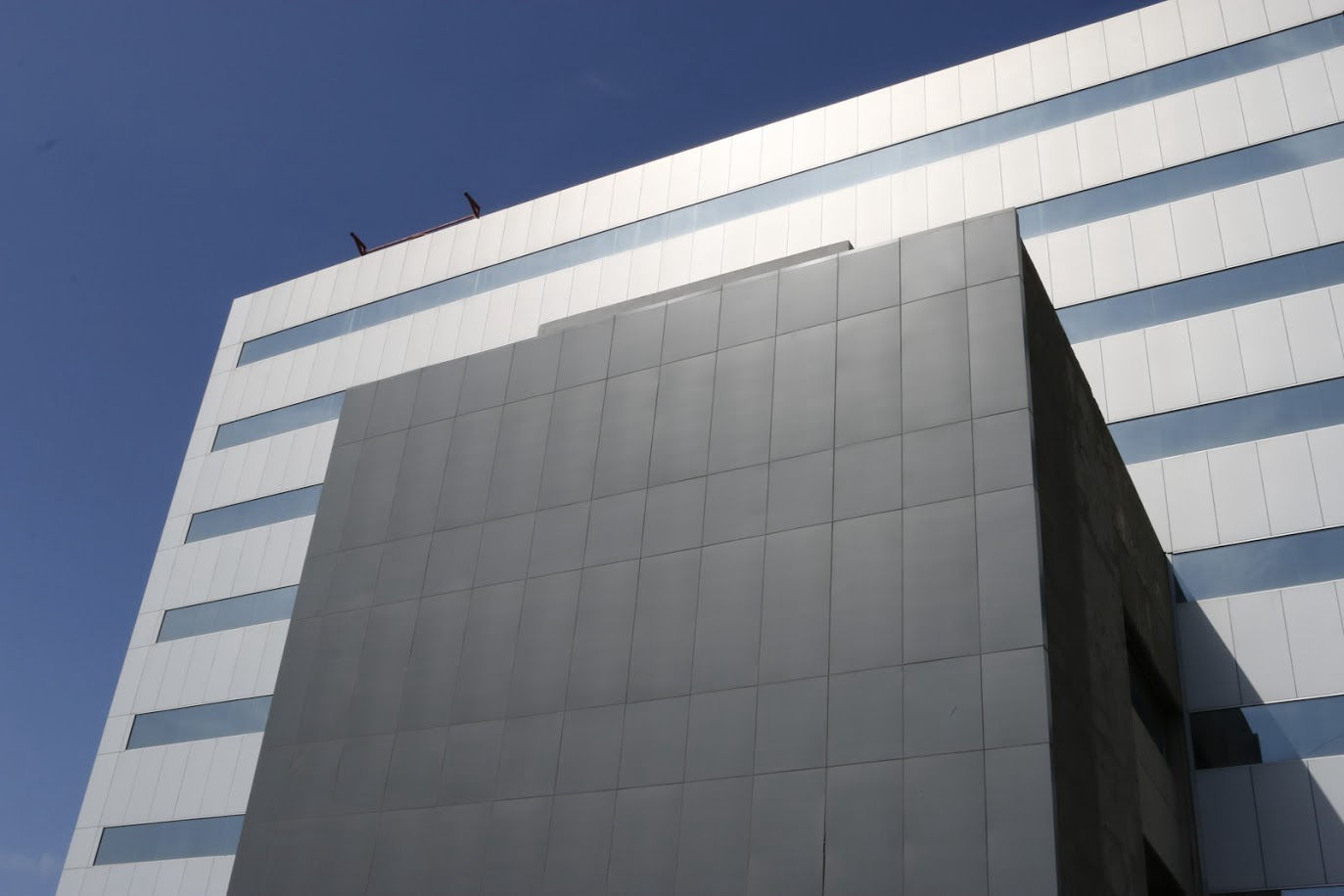 Fachada con Alcopalme